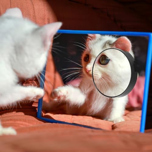 Luxshiny Compact Mirror Travel Kit