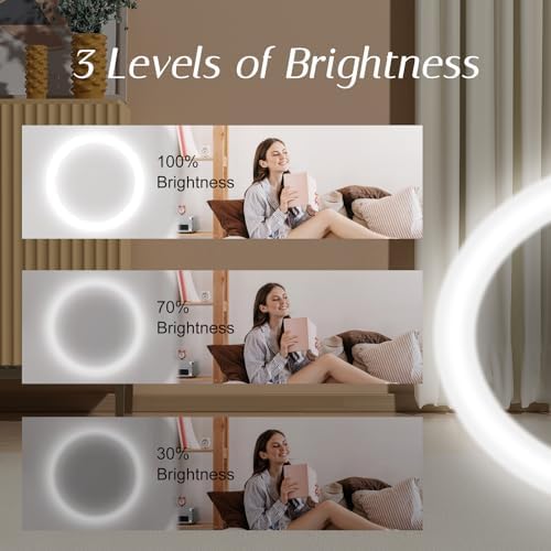 Zipper-Ready Compact Mirror with 1X3X Magnification