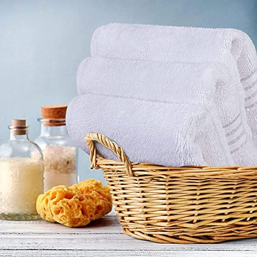 Premium 12-Pack Washcloth Set