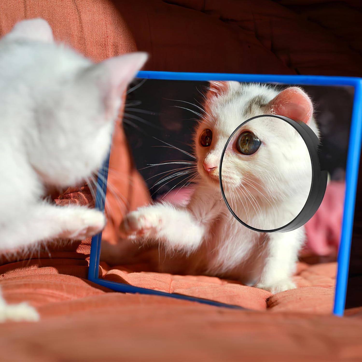 Luxshiny Compact Mirror Travel Kit